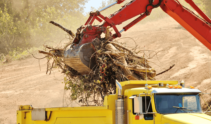 LOT CLEARING
